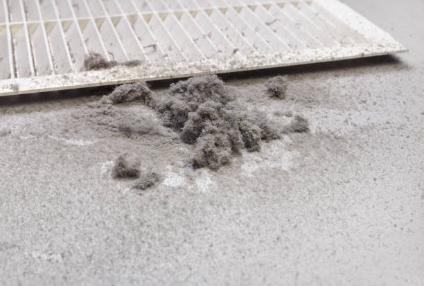 Best Professional Duct Cleaning Services  in Bay Park, NY