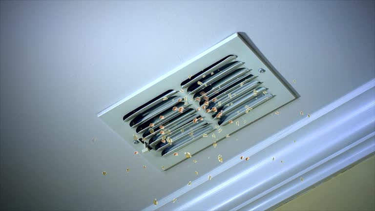 Best Home Air Vent Cleaning  in Bay Park, NY