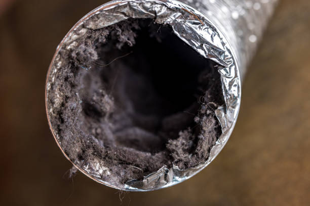 Best Air Duct Cleaning Near Me  in Bay Park, NY